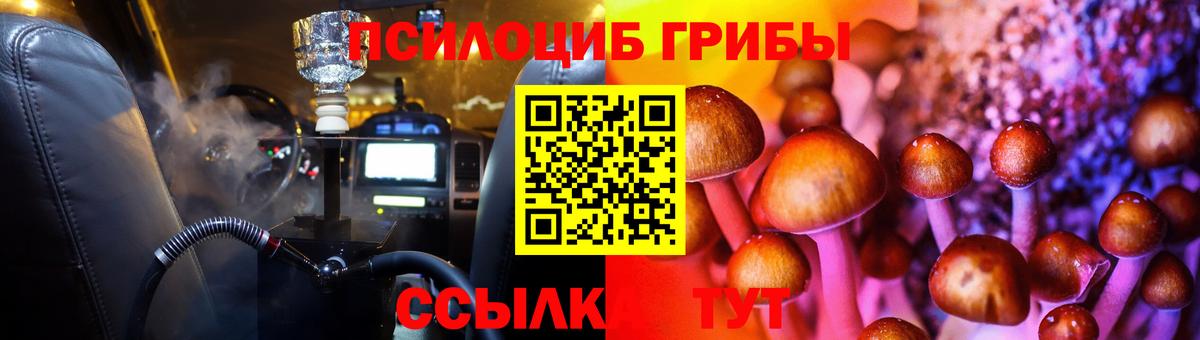 Галлюциногенные грибы MAGIC MUSHROOMS  Вход с VPN  Полевской 